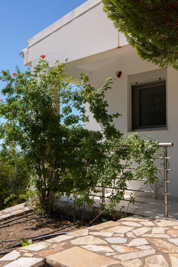 Dream View Villas Syvota Dış mekan fotoğraf